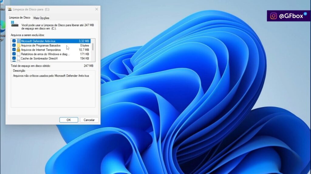 slecionando totals as opção disponiveis para a limpeza total no windows
